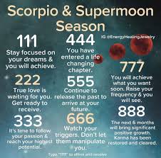 Pin By Laura Drummond On 1 Wiccan Numerology Stoic Quotes Spiritual Reading
