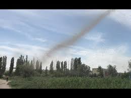 In argentina, a giant swarm of mosquitoes formed a tornado (ordo news) — an amazing phenomenon was recorded in argentina on a smartphone camera. A Giant Mosquito Tornado Youtube