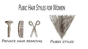 Pubic hair patterns vary widely, according to one's age, ethnicity, and most importantly, their own individuality, says katy burris, a dermatologist at columbiadoctors and assistant professor of. This Is Why Female Pubic Hairstyles Photos Is So Famous Female Pubic Hairstyles Photos The World Tree Top