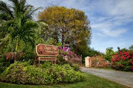 She has worked with dr. Sugarmillvet076 Sugar Mill Veterinary Center