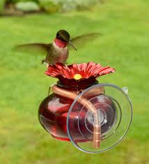 this window mounted hummingbird feeder s bowl and flower remove for easy filling and cleaning holds 3 oz of humming bird feeders bird feeders bird house kits