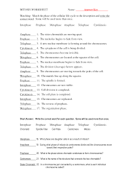 Cell division reading comprehension worksheet mitosis and meiosis science answer key / cell division worksheet answer key / reading comprehension assignment mitosis is the portion of the cell cycle following interphase. Active Reading Worksheets Cell Reproduction Cell Division Answers Privacy Policy