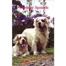 The teeth meet in a. Clumber Books Dvds Erinrac Enterprises