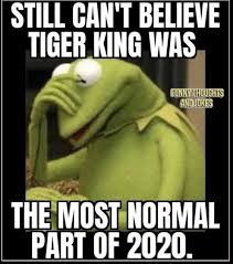 Pin On Election Year Antics 2020 And Go