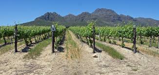 Choose your favourite of the 33 boutique hotels, country inns and resorts all our stellenbosch hotel accommodation offers the kind of service you would expect when staying at an hotel: Best Places To Stay In Stellenbosch South Africa The Hotel Guru