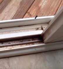 We did not find results for: Cette Femme Partage Sa Methode De Nettoyage Des Rails De Portes Et Fenetres Coulissantes Astuces Blagues