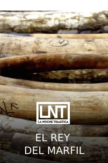 La noche temática - El rey del marfil - Documental en RTVE