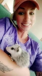 Pet grooming services with discount offered