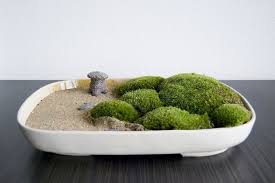 Zen Garden With Moss And A Japanese Latern Mini Zen Garden Miniature Zen Garden Zen Garden