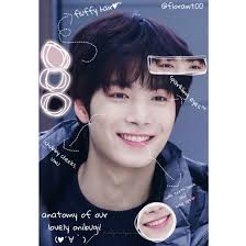 Pin On Anatomy Of Kpop Idol