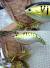 Giant Fishing Lure Wall Decor