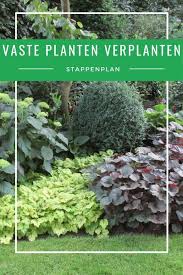 de meeste vaste planten verliezen na zo n drie jaar hun groeikracht zowel de planten als de grond moet je daarom eens per twee t verplanten planten tuin bomen