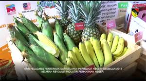 Perdana menteri datuk seri najib tun razak hari ini mengumumkan bantuan sebanyak rm30,000 bagi setiap pertubuhan peladang kawasan dan persatuan nelayan kebangsaan dalam usaha memantapkan penubuhannya. Jendela9 Hari Peladang Penternak Nelayan Ns 2018 Youtube