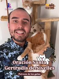 Oración poderosa de Santa Gertrudis para gatos enfermos