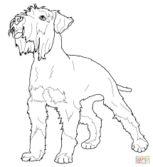 Miniature Schnauzer Horse Coloring Pages Dog Coloring Page Dog Coloring Book