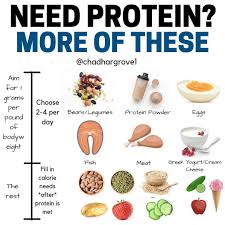How do vegan bodybuilders and athletes get enough protein. Pin On Healthy Meals