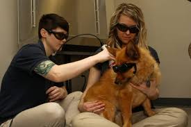 There are over 100 cities in madison with companies in the animal hospitals category. Madison Veterinary Hospital Veterinarians 1605 Hughes Rd Madison Al Phone Number Yelp