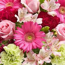 Free flower delivery to milford auckland. Cincinnati Florist Flower Delivery By Greene S Flower Shoppe