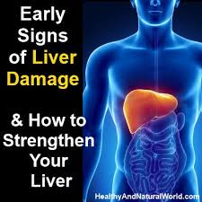 Liver cancer (also known as hepatic cancer, primary hepatic cancer, or primary hepatic malignancy) is cancer that starts in the liver. Blog Archives Goodsiteguy