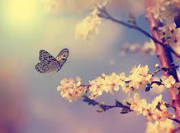 Even if you have the best intentions, there are a few things you'll want to avoid saying. What To Say To Someone Who Is Dying Agingcare Com