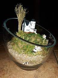 Voir l'article pour en savoir plus. Beetlejuice The Maitland S Terrarium Terrarium Miniature Garden Beetlejuice
