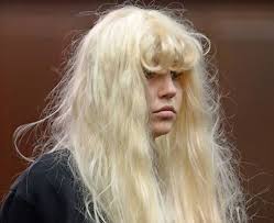 Image result for Justicia amanda