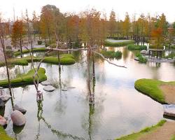 澄霖沉香味道森林館日式庭園的圖片