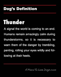 Dog S Definition Of Thunder A Place To Love Dogs Dogs Dog Quotes Crazy Dog Lady