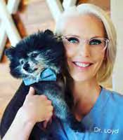 Southeastern Guide Dogs Spread the Love Mickey in St. Pete: Part 2