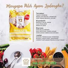 Ayam Ladangku Bebas Suntikan Hormon Home Facebook