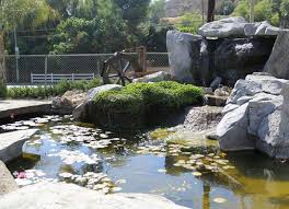 You'll need to do some planning as well. Pin On Pacific Ponds Design