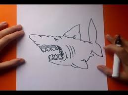 We did not find results for: Como Dibujar Un Tiburon Paso A Paso 3 How To Draw A Shark 3 Youtube