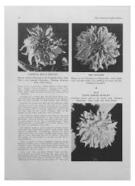BULLETIN