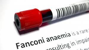 Treatment for blood and bone marrow cancers depends on the type of cancer, your age, how fast the cancer is progressing, where the cancer has spread and other factors. 21 Common And Controversial Blood Cancer Risk Factors 24 7 Wall St