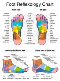 Reflexology Can Stimulate More Than 7 000 Different Nerve Endings In A Single Session Increasing Function Reflexology Foot Chart Reflexology Reflexology Chart