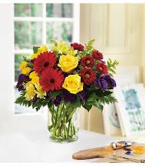 We create moments that let those. City Of Flowers 136 Photos 151 Reviews Florists 215 Moffett Blvd Mountain View Ca Phone Number Products Yelp