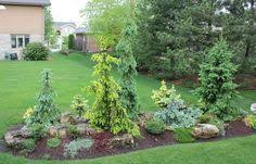 By following simple guidelines in the design of the landscape mounds and berms, many garden troubles can be eliminated with ease. 19 Best Front Yard Berms Ideas Front Yard Front Yard Landscaping Backyard Landscaping