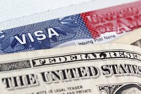 Image result for UNITED STATE VISA
