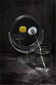 One of my favorite photos ❣️