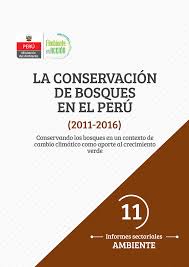 Descubre (y guarda) tus propios pines en pinterest. Http Www Minam Gob Pe Informessectoriales Wp Content Uploads Sites 112 2016 02 11 La Conservaci C3 B3n De Bosques En El Per C3 Ba Pdf