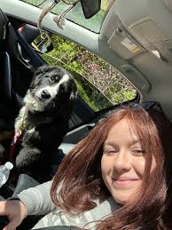 Hello! ✨ my bestie and I are looking for someone else to join a lease with  us! We already have the spot but one girl backed out ☹️ it's in  Williamsburg and