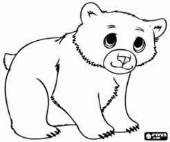 Juegos De Osos Para Colorear Imprimir Y Pintar Drawings Bear Cubs Guided Drawing
