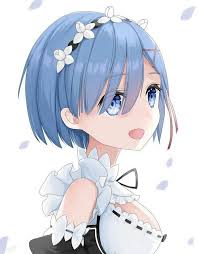 Pin De Chicken Lol Em Re Zero Re Zero Garotas Fofas Rem Re Zero