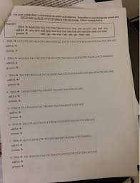 Solved Mrna Transcr Leaves The Mucl Ke Protcins Th Eings