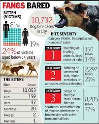 In animals, the symptoms of rabies develop from 2 weeks to several months, and may vary according to the species. Ahmedabad 77 Of Dog Bites Leave Serious Wounds Ahmedabad News Times Of India