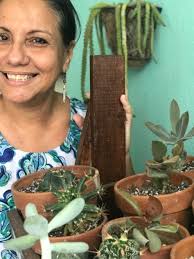 El maravilloso mundo de las suculentas de Gladys Vélez