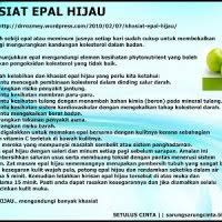 Epal hijau atau epal merah? Kelebihan Epal Hijau