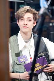 Stray Kids Chan C Dreamnight 1 2 Please Do Not Edit Or Crop Logo Stray Kids Chan Chris Chan Kids