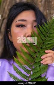Japanese lady fern hi-res stock photography and images