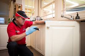 10 methods for how to get rid of mice. Rat Control Mice Control Sydney Rodents Killed